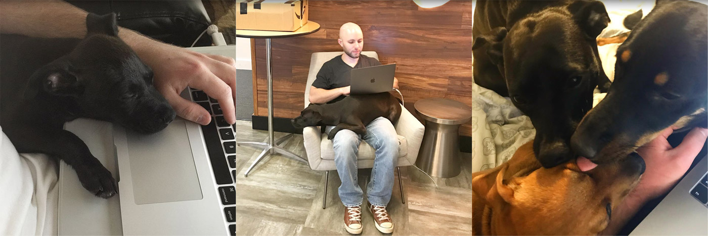 Wheatcraft working like a dog